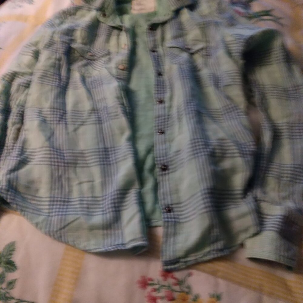 American eagle - Picture 3 of 3